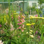 Border Inspiration
